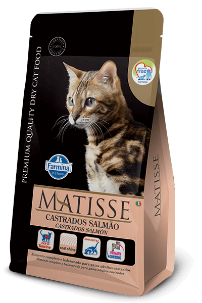 252_10_brasil_Matisse@castrados-salmao (1)